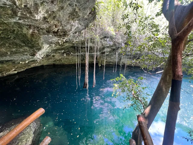 ProTec Dive Centers Playa Del Carmen