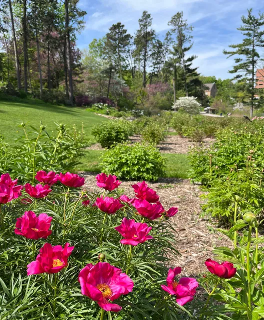 Arboretum Nature Area