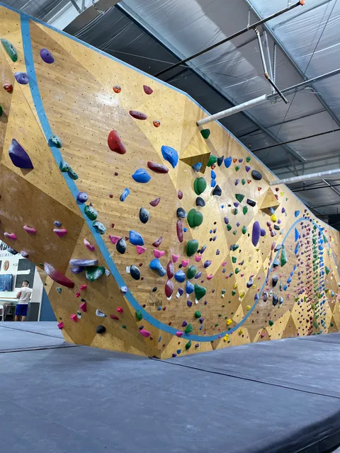 Rock Out Climbing Gym