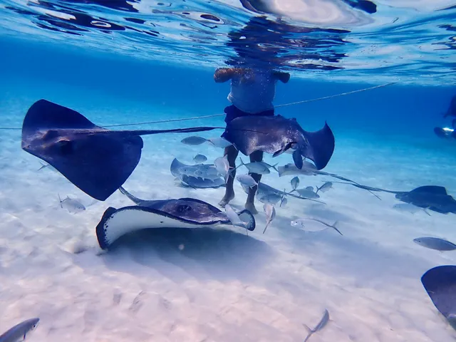 White Sand Water Sports