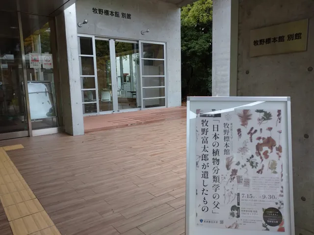 photo-3