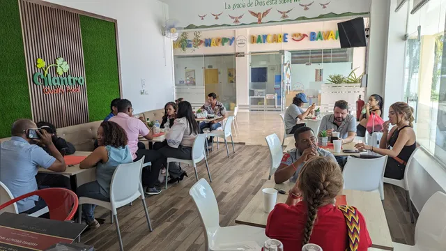 Cilantro Quality Food