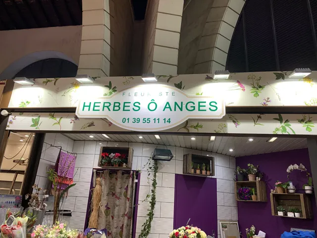 Herbes Ô Anges