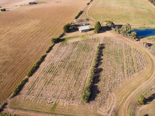 Charles Reuben Estate