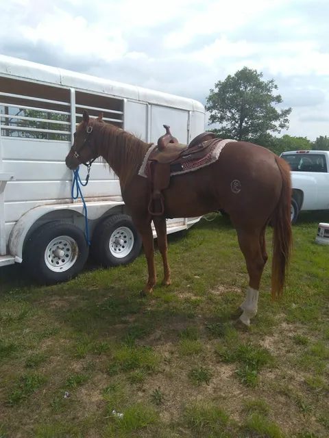 Granby Saddle Club Arena