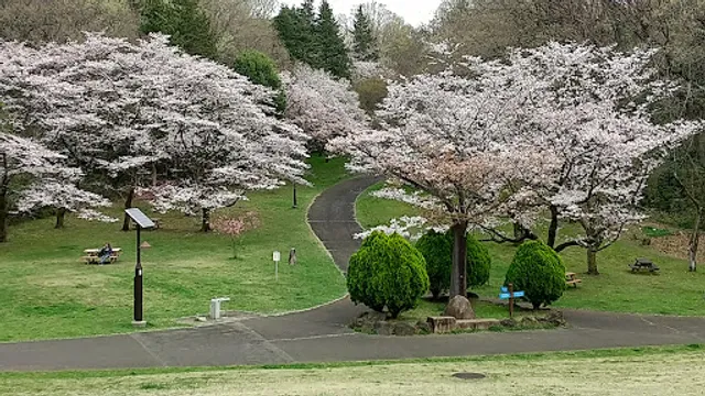Sakuragaoka Park