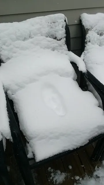 Fraternal Order of Eagles