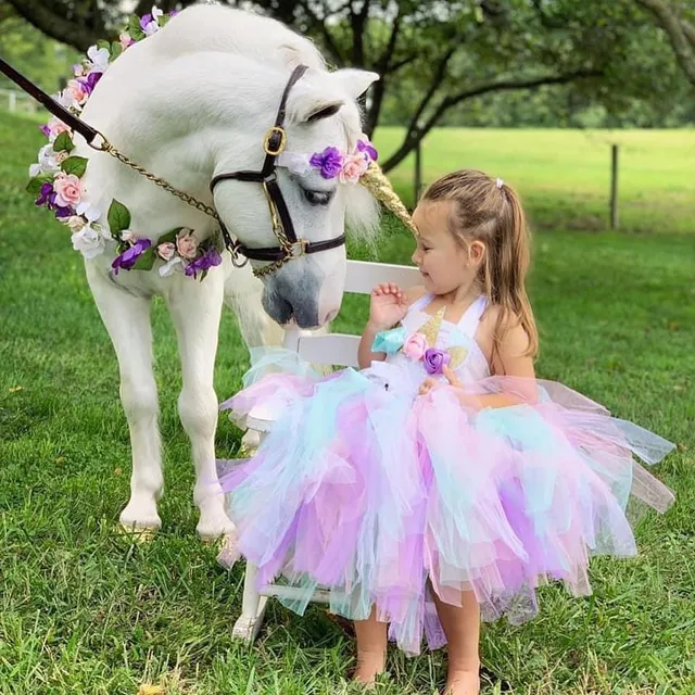 The Michigan Lavender Festival