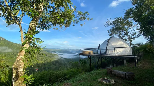 Alma-Verde Glamping