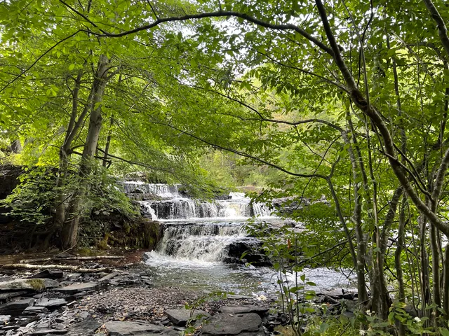 State Game Lands Number 180