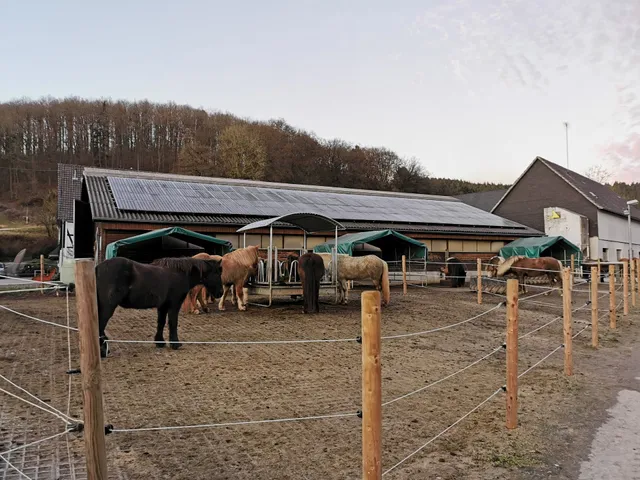 Islandpferdegestüt Falkenegg, Richard Hufnagel