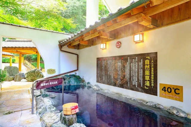 Forest Oedo Onsen Monogatari Hotel Reoma