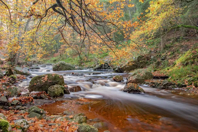 Vallei van de Hoëgne