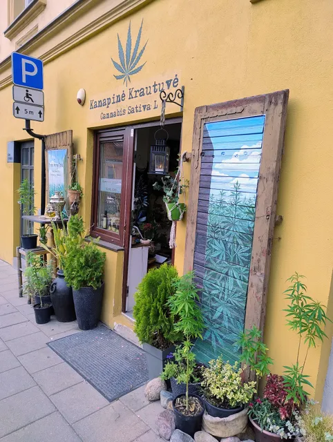 Kanapinė Krautuvė