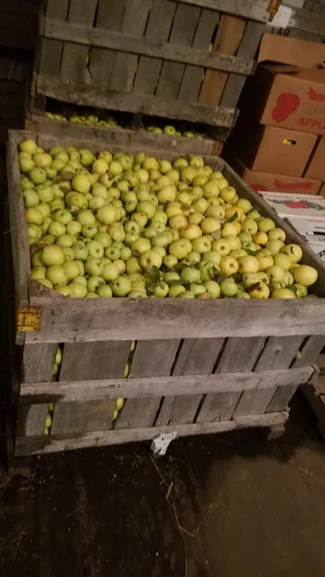 Joe W Ringhausen Orchard & Pkg