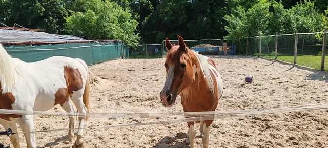 Ubytovanie na dedine