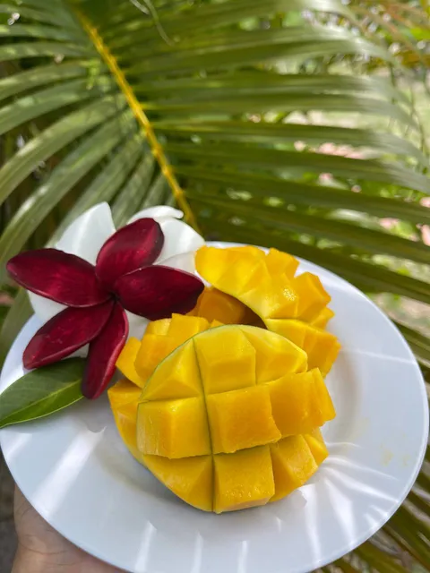 Sandy Garden Resort Langkawi