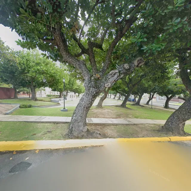 The coconut and juice Luxyru/ jugos naturales/NATURAL JUICES