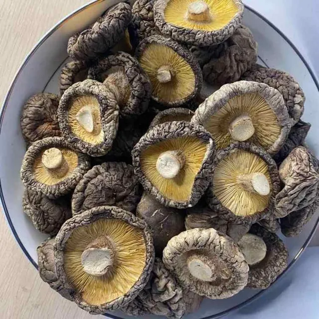 鸡本无敌Chick Masterpiece Inc.