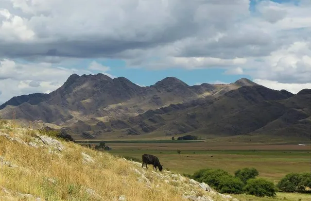 Alquiler Temporario(por día) Saavedra