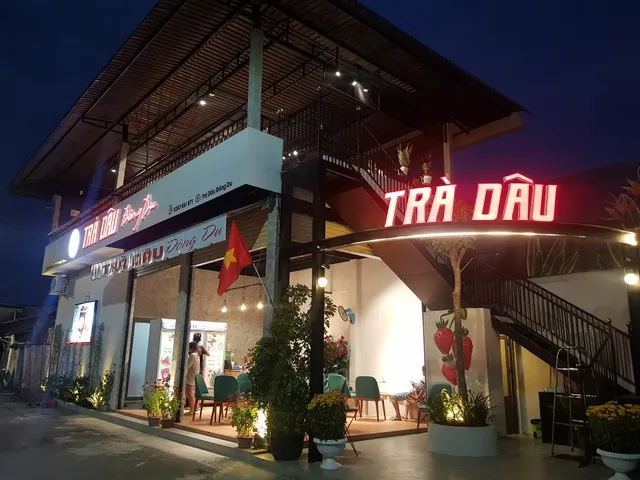 Trà Dâu Đông Du