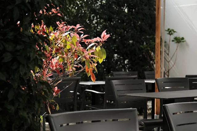 Gusto Tradizione e Modernità dal 2004