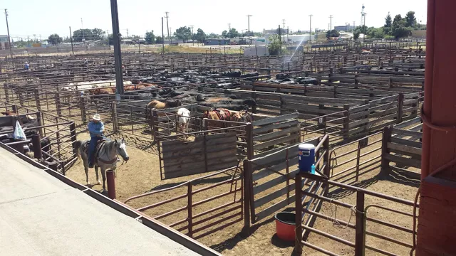 Visalia Livestock