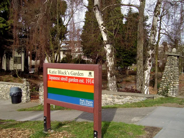 Katie Black's Garden