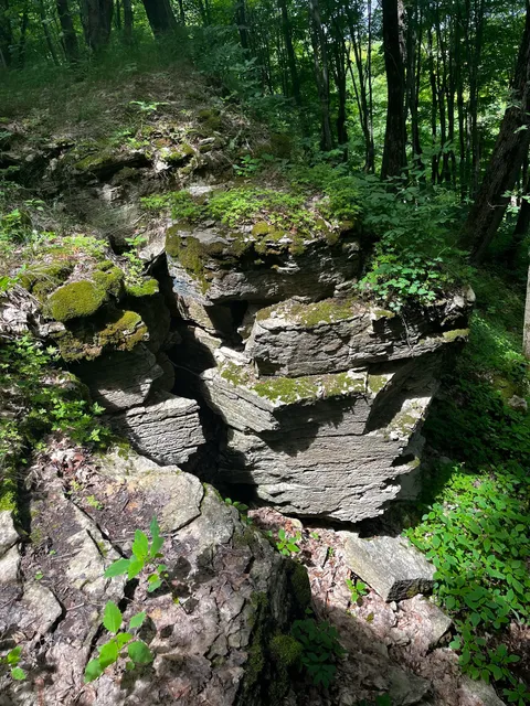 Bruce Trail