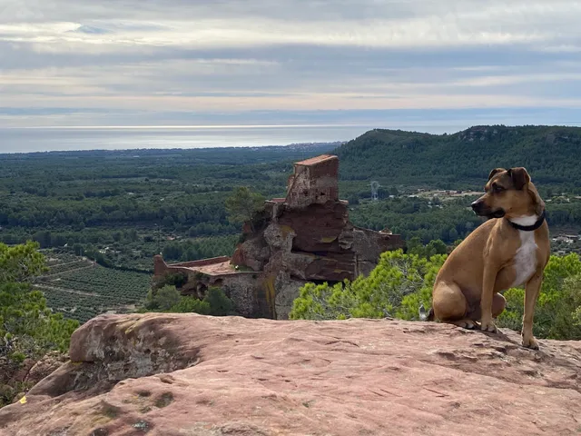 Mirador de la Ermita de la Roca