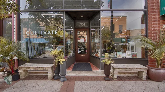 Cultivate Urban Rainforest & Gallery