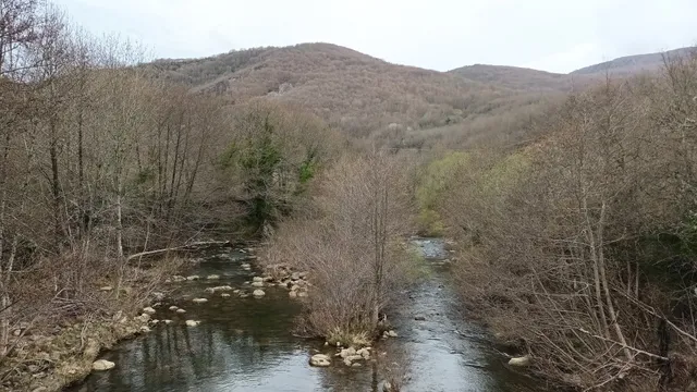 Apartamentos Irati Olaldea