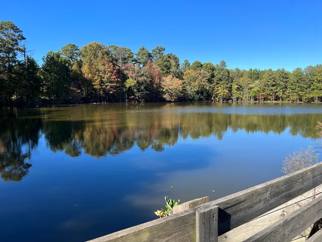 Little Mulberry Park