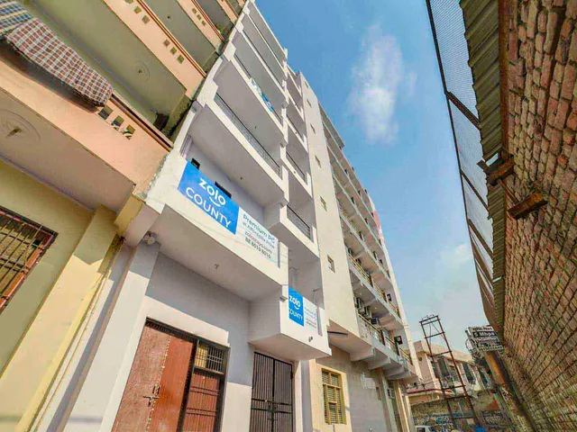 Zolo County - PG in Sector 58 Noida | Gents PG