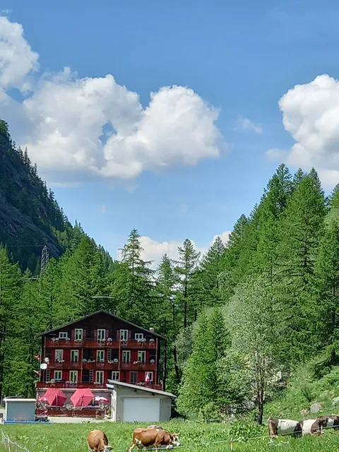 Pension Restaurant Waldegg