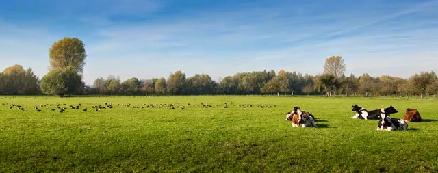 "Haus-Seeblick-Xanten"