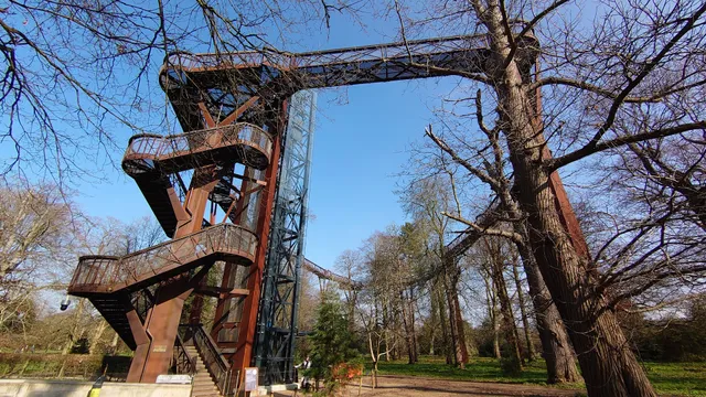Treetop Walkway