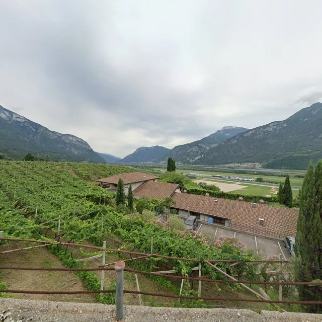 Cantine Atesine S.r.l.