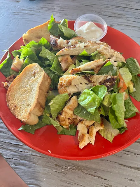 Saludos Bar – Live Bands & Cocktails in Rocky Point