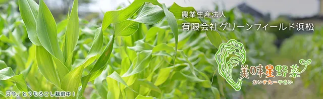 Green Field Hamamatsu