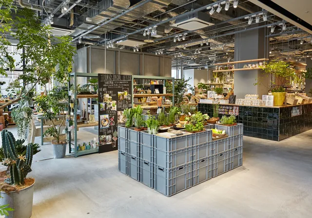 TODAY'S SPECIAL Kyoto