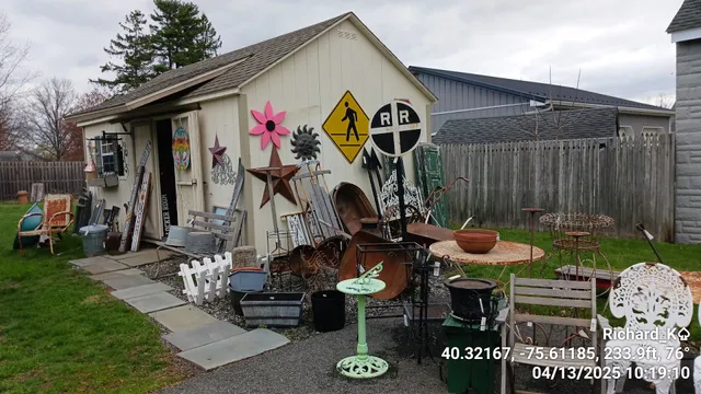 Crazy Lady Collectables