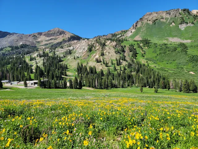 Catherine Pass Trailhead