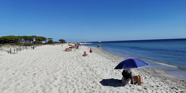 Spiaggia e pineta Salamaghe