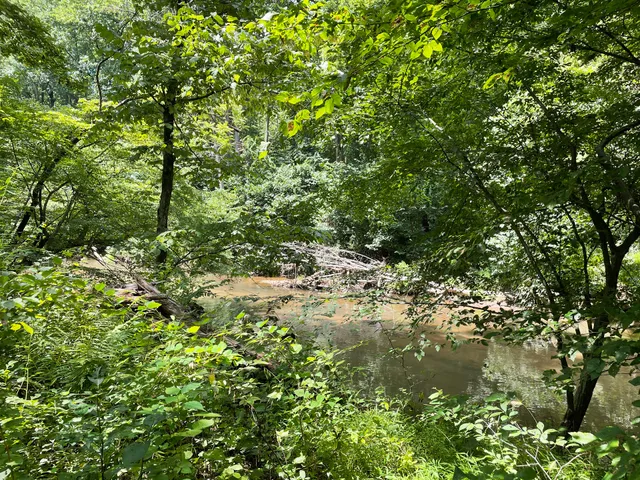Gunpowder Falls Trail - Bel Air rd Crossing.