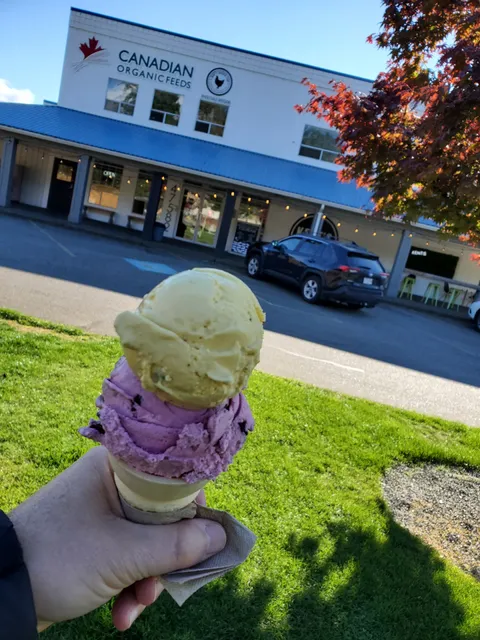 Kent's Ice Cream Co