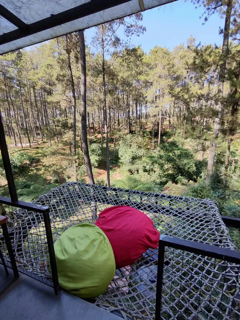 Limasegi Dipinus Coffee Cikole Lembang