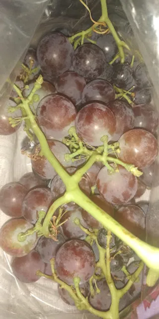 Restaurante Sabores e Paladares