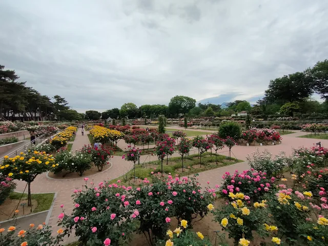 Kadokura Techno Rose Garden, Shikishima Park