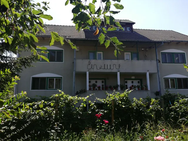 Pensiunea Mara, Comuna Budesti, Sat Linia, Strada Principala, nr 80, Vâlcea